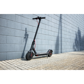 Електрическа тротинетка E-scoot Master