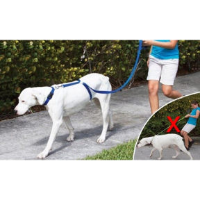 Кучешка каишка за разходки и дресиране